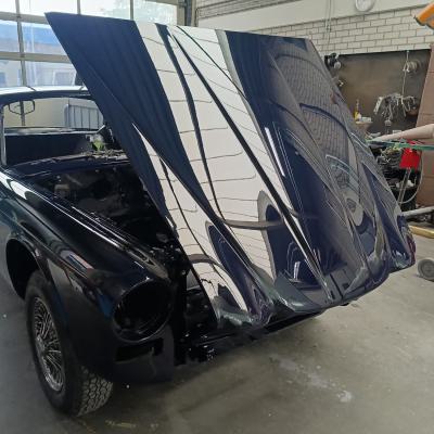 Jaguar Klep